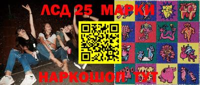 гашик Будённовск