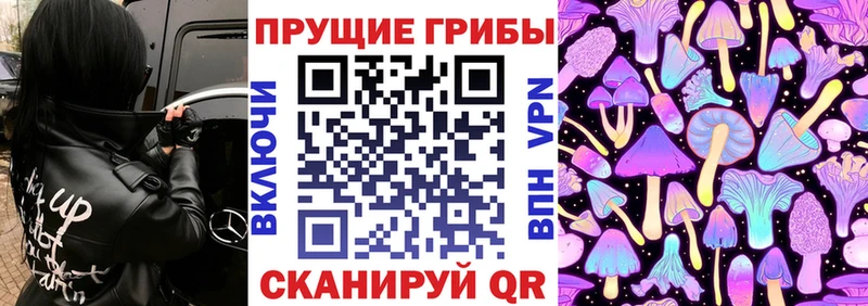 Псилоцибиновые грибы Cubensis mega ссылка Красный Сулин
