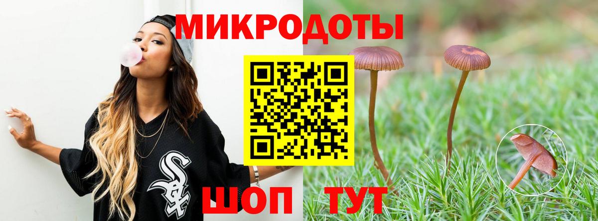Красный Сулин  Галлюциногенные грибы прущие грибы  Вход с VPN 